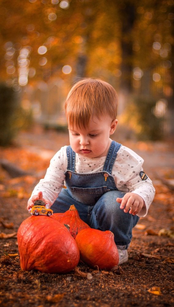 Осенний урожай