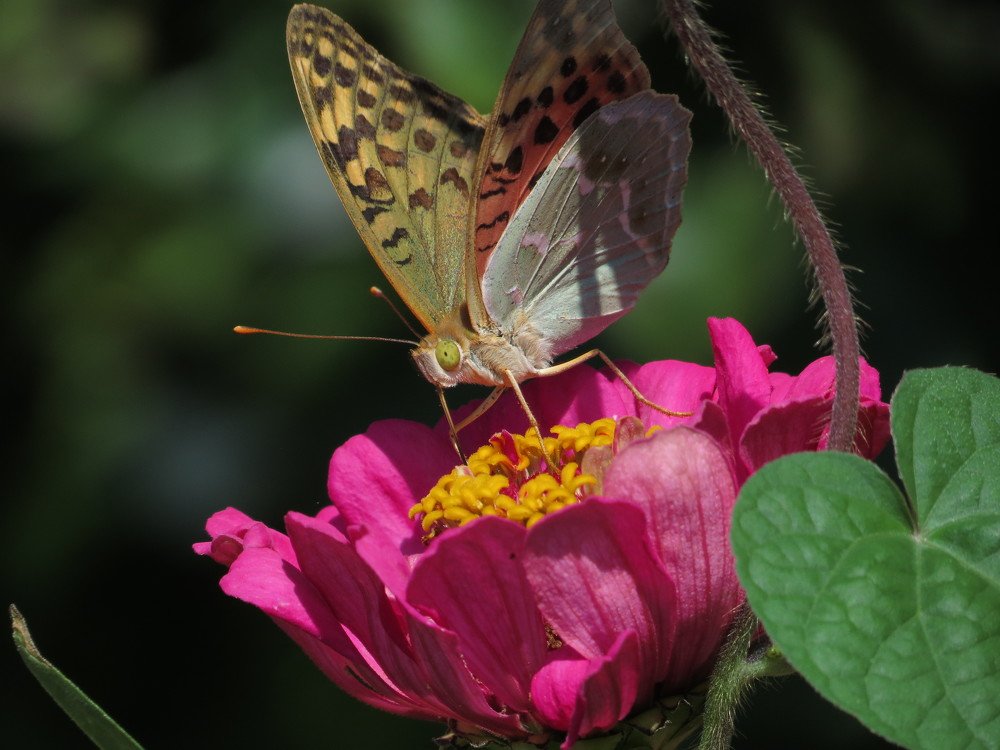 Photograph by Иван Скрипкин