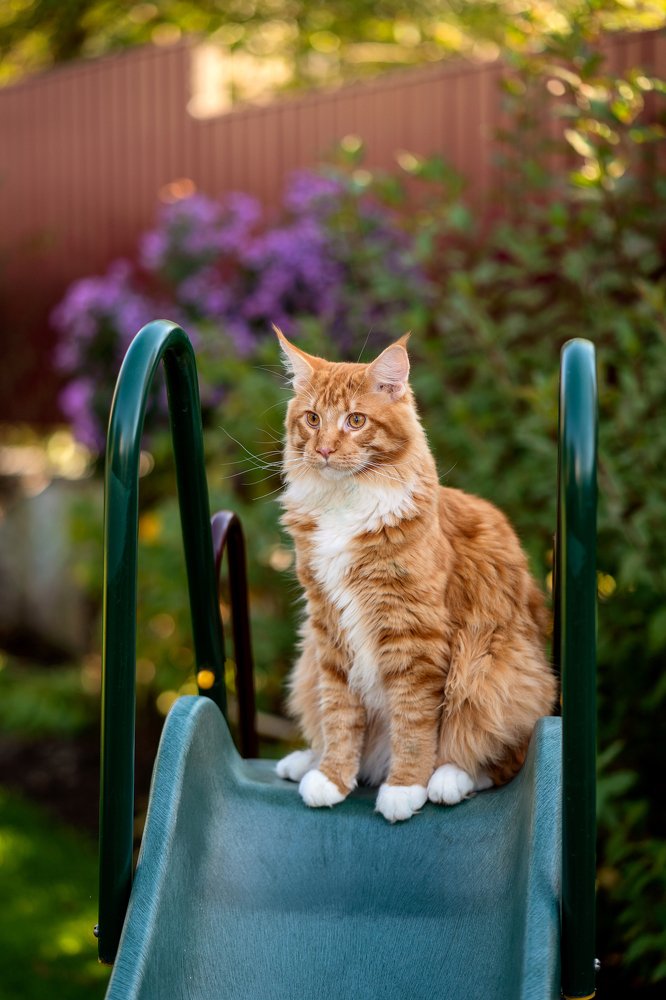 Photograph by Анна Орловская