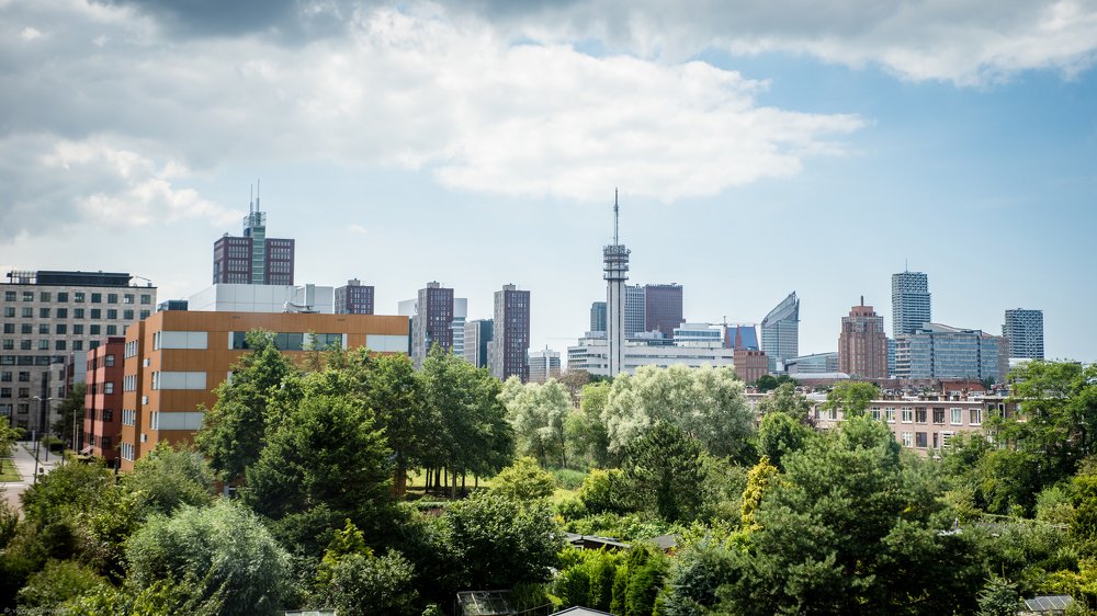 Фотография автора Dmitriy Sotnikov