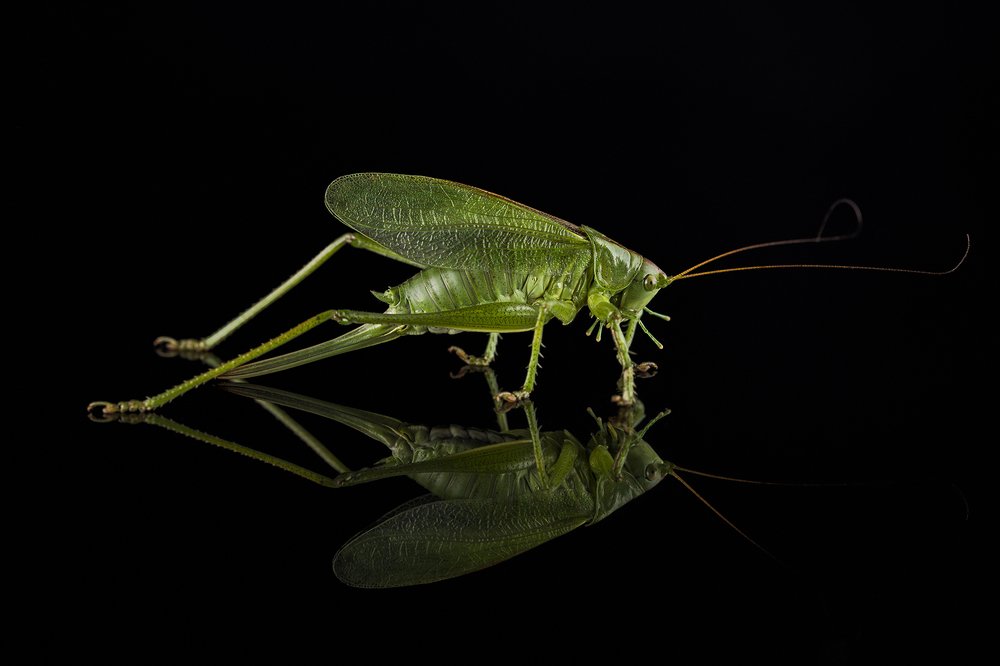 Photograph by Сергей Чупахин