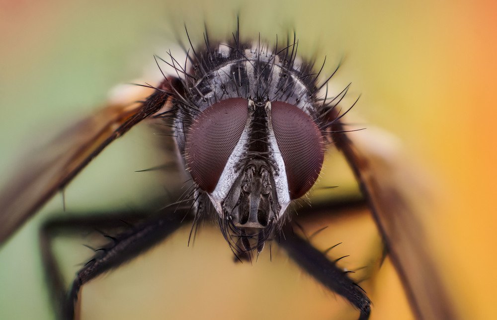 Photograph by Сергей Чупахин