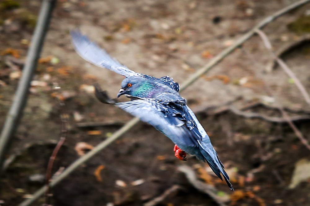 Photograph by Sergey Uskov