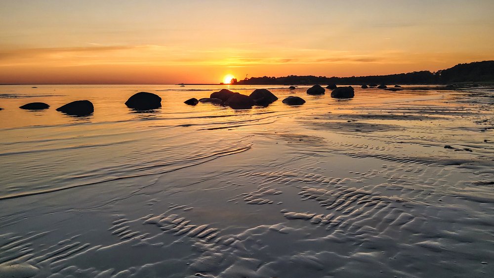 Photograph by Alla Matrosova