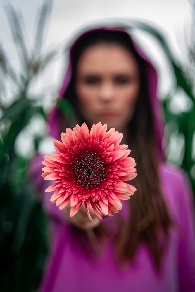 Фотография автора Dmitriy Sotnikov