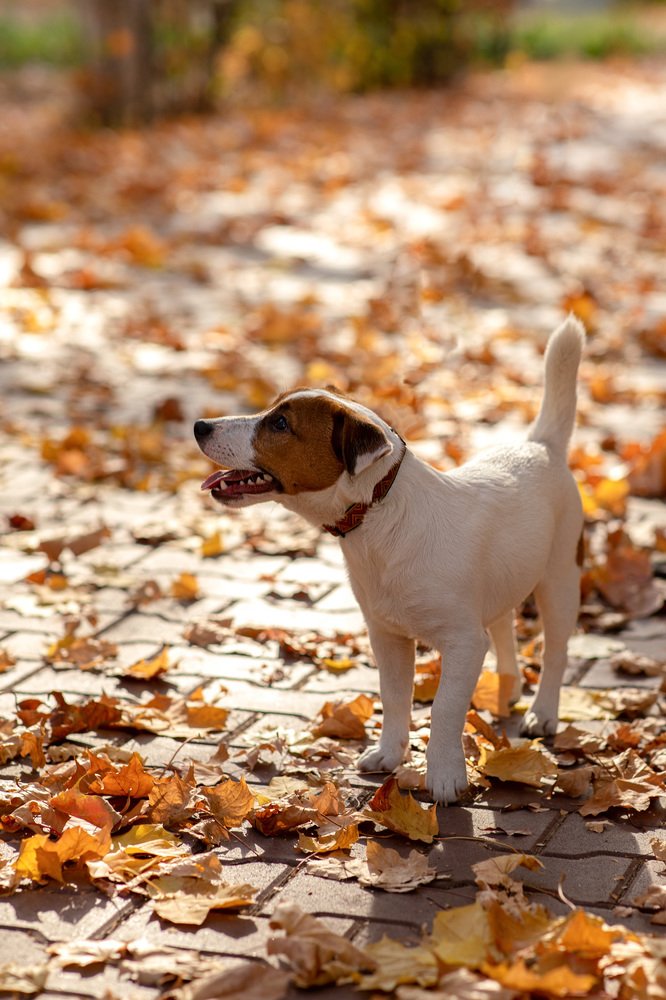 Photograph by Valery Vinnitsky