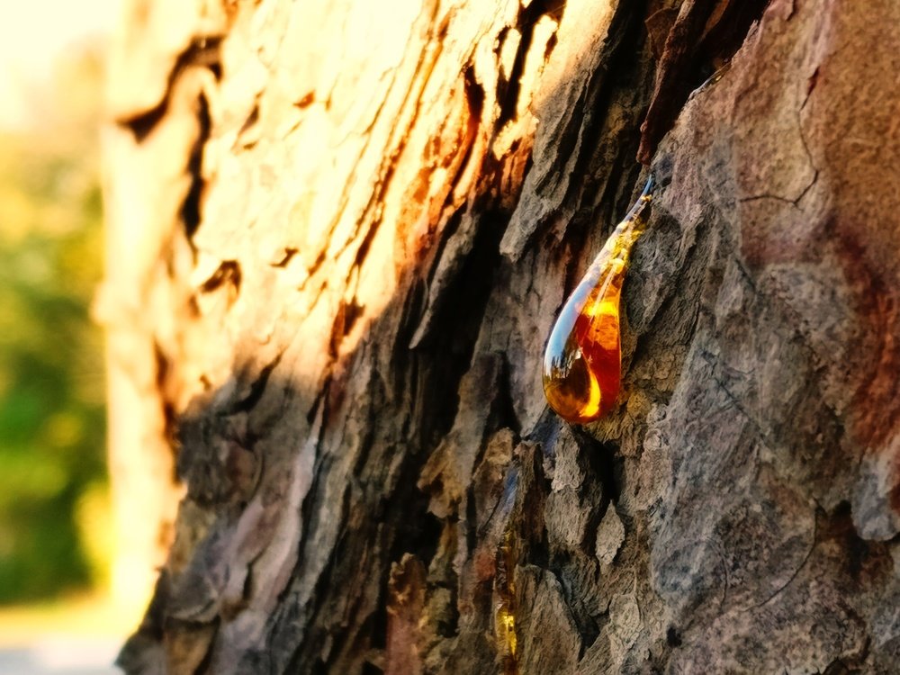 слеза природы