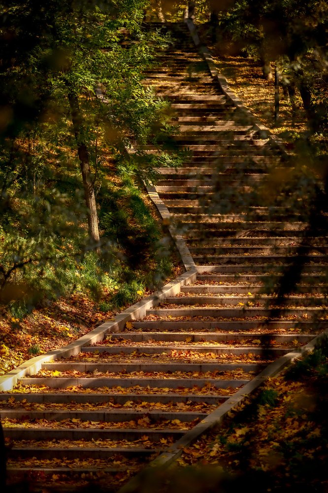 Photograph by Sergey Uskov