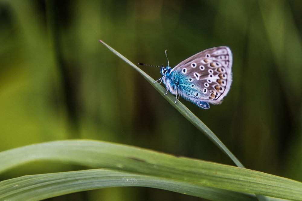 Photograph by Alla Matrosova