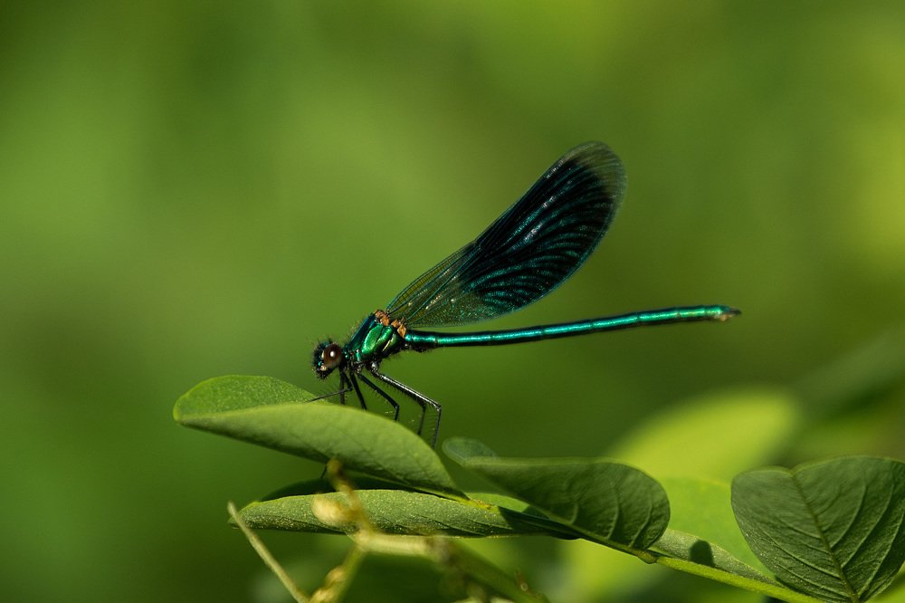 Photograph by Валерия Зайцева