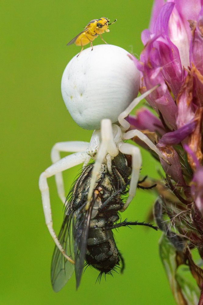 Photograph by Olga Martynska