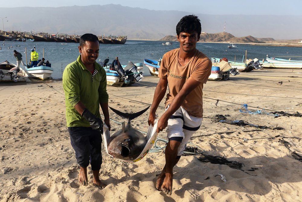 Photograph by Олег Саввин