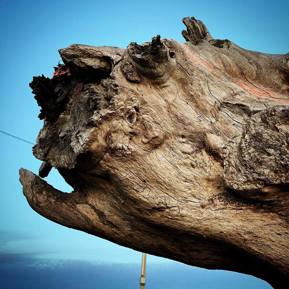 Photograph by Lisiane Kindlein