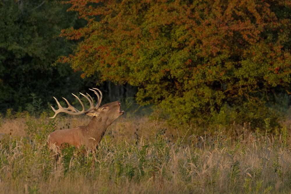 Photograph by Predrag Kostin