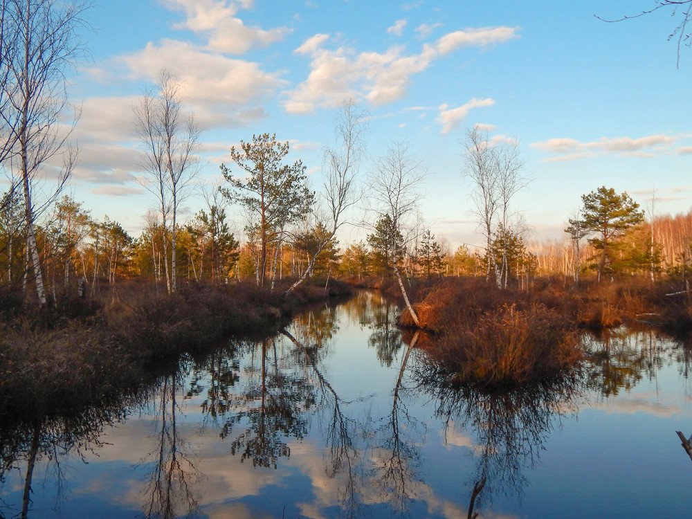 Photograph by Диана Бородзе