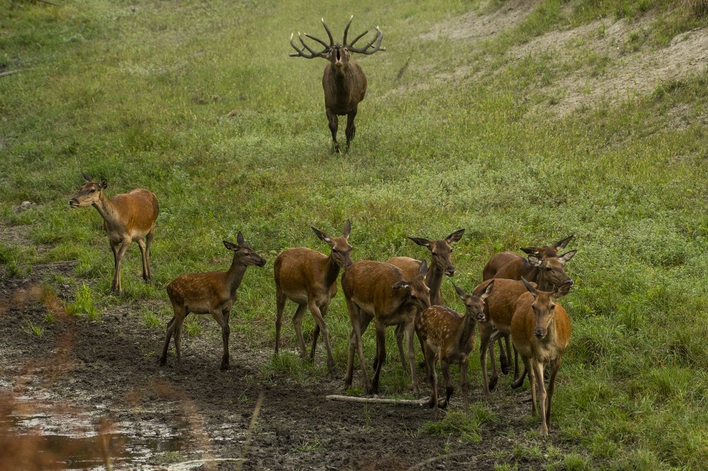 Photograph by Predrag Kostin