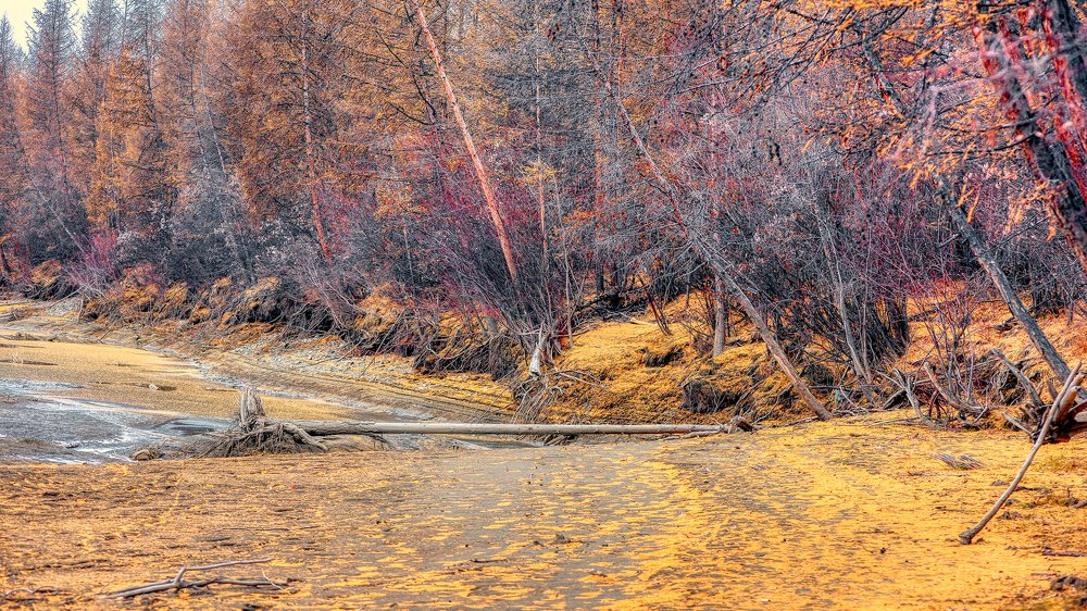 Photograph by Данил Артыков