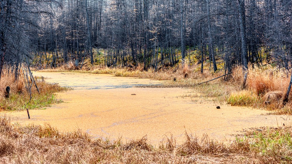 Photograph by Данил Артыков