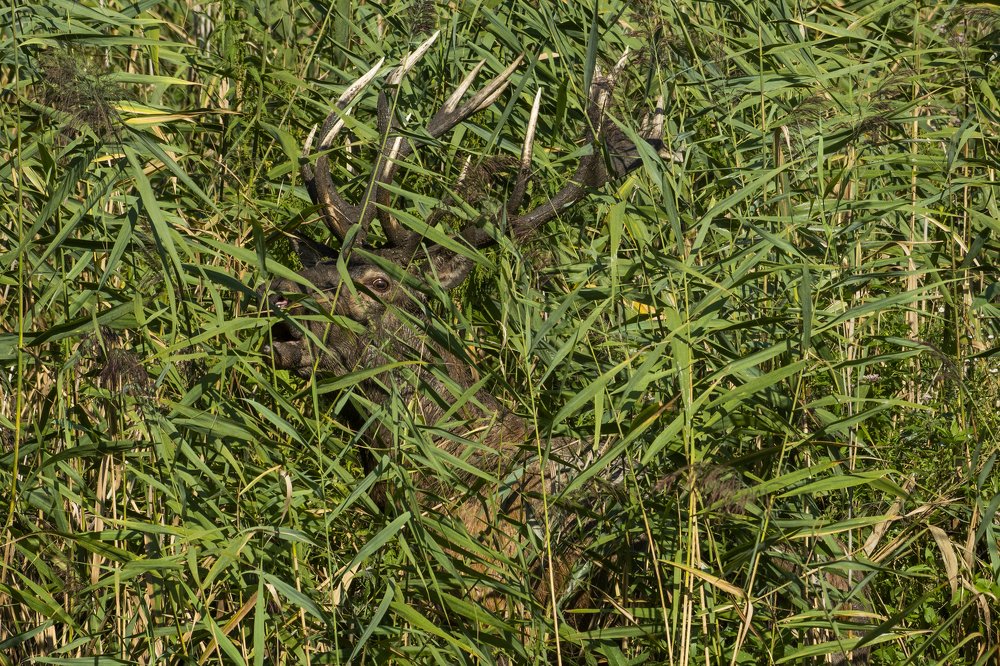 Photograph by Predrag Kostin