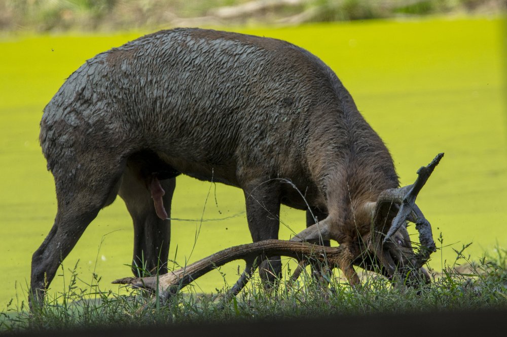 Photograph by Predrag Kostin