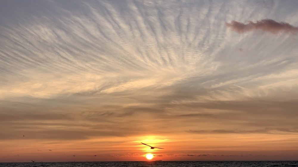 Photograph by Александр Бурлак