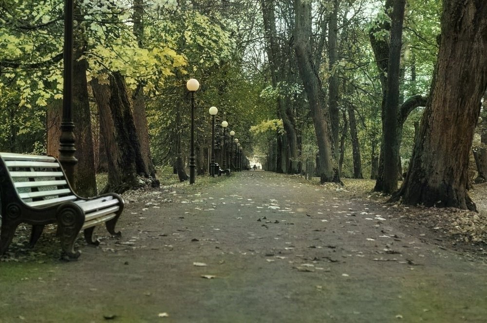 Photograph by Алексей Стрижаков