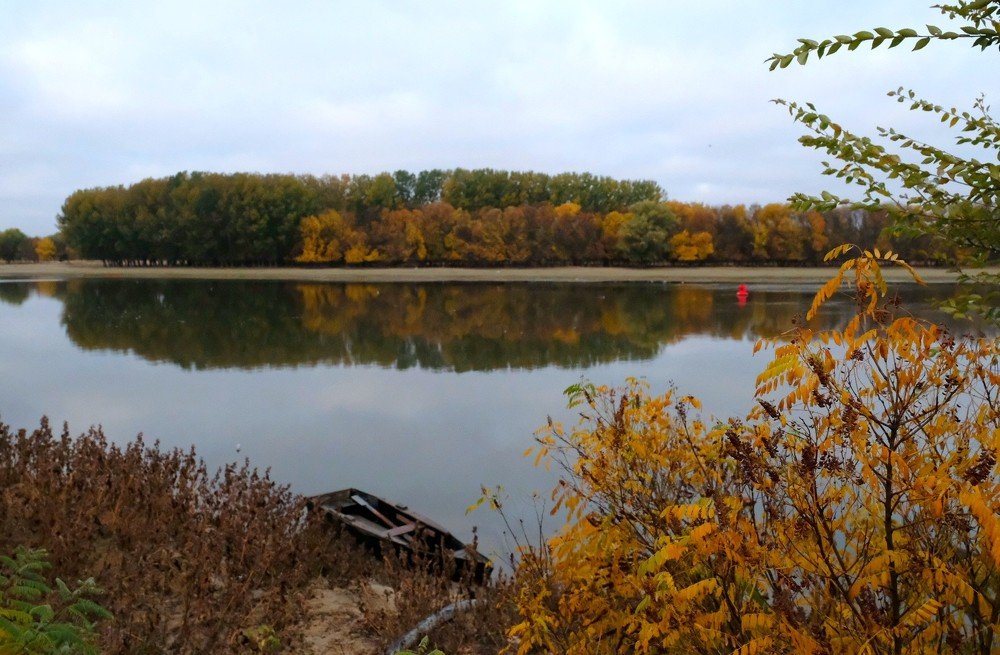 Photograph by Диана Арье