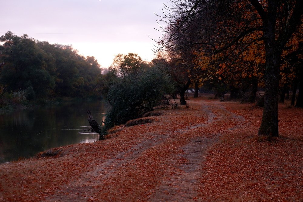 Photograph by Диана Арье