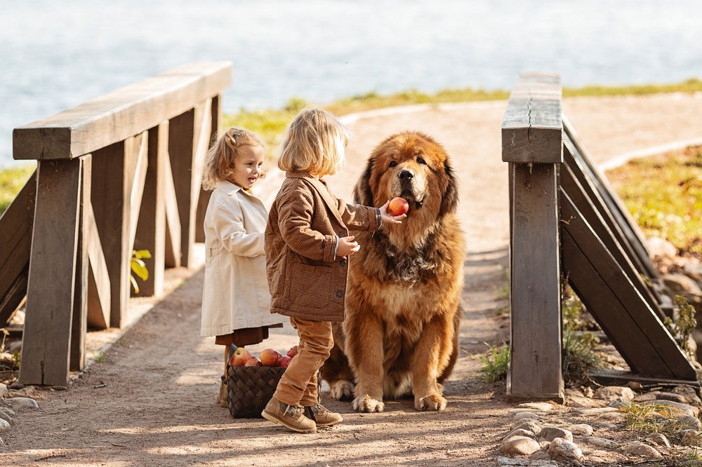 Photograph by Екатерина Коломеец