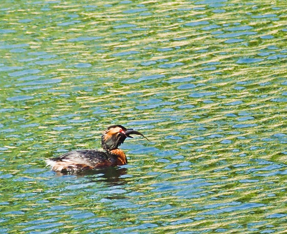 Фотография автора Ольга Виноградова