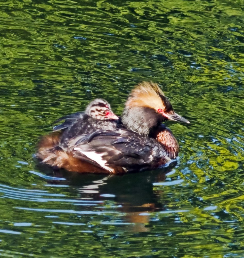 Photograph by Ольга Виноградова