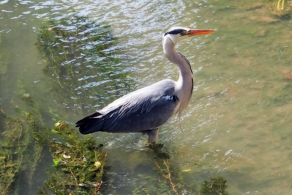 Photograph by Ольга Виноградова