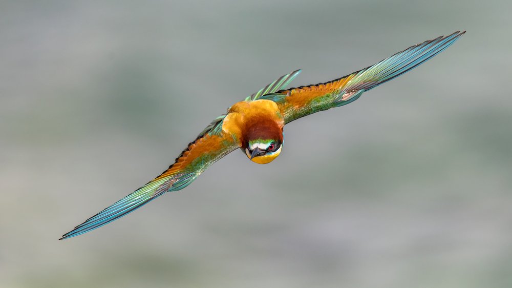 Photograph by Massimo Tamajo