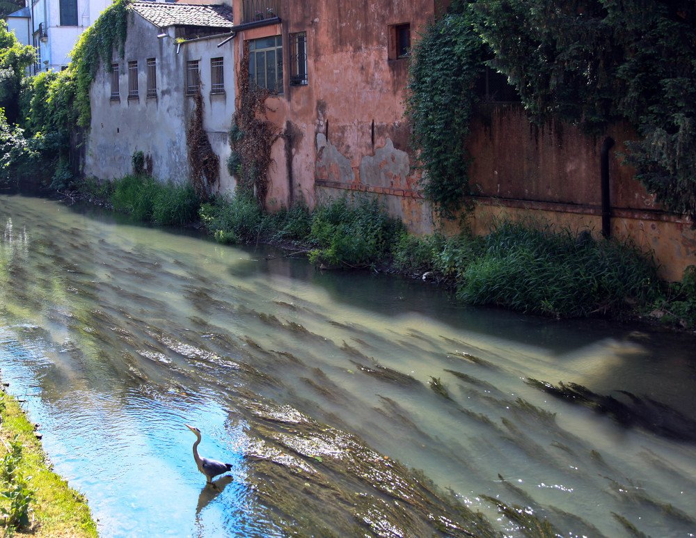 Фотография автора Ольга Виноградова