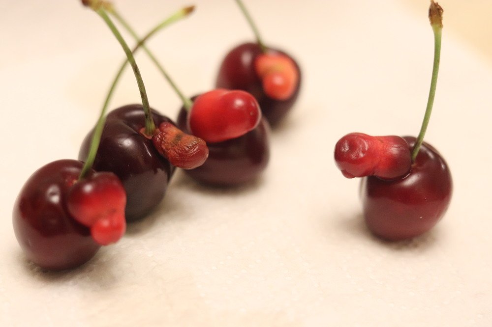 Photograph by Tatyana Semenova