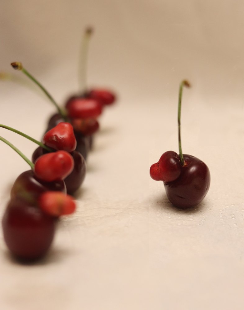 Photograph by Tatyana Semenova