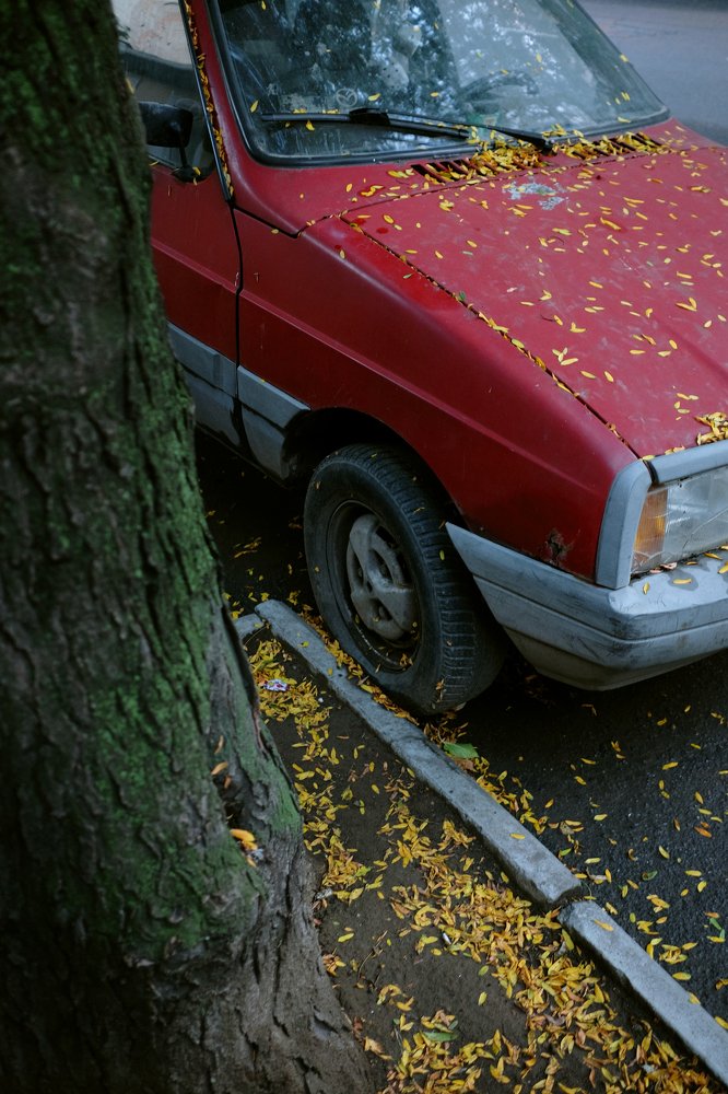 Photograph by Игорь Юркивский