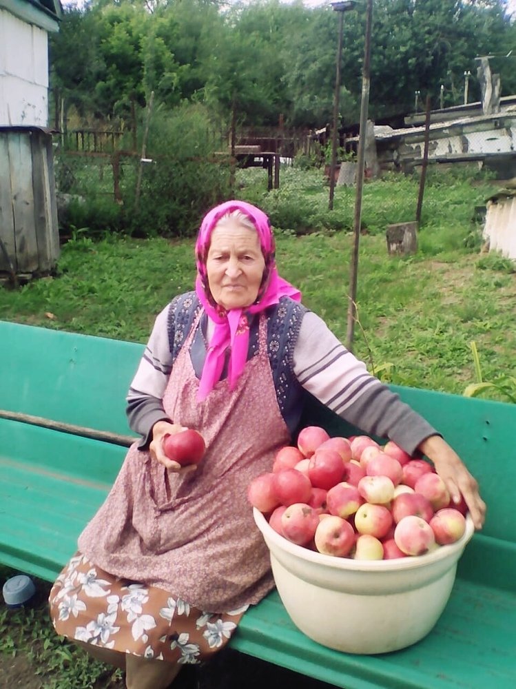 Яблоки