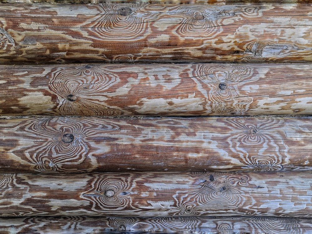 Фотография автора Dmitriy Sotnikov