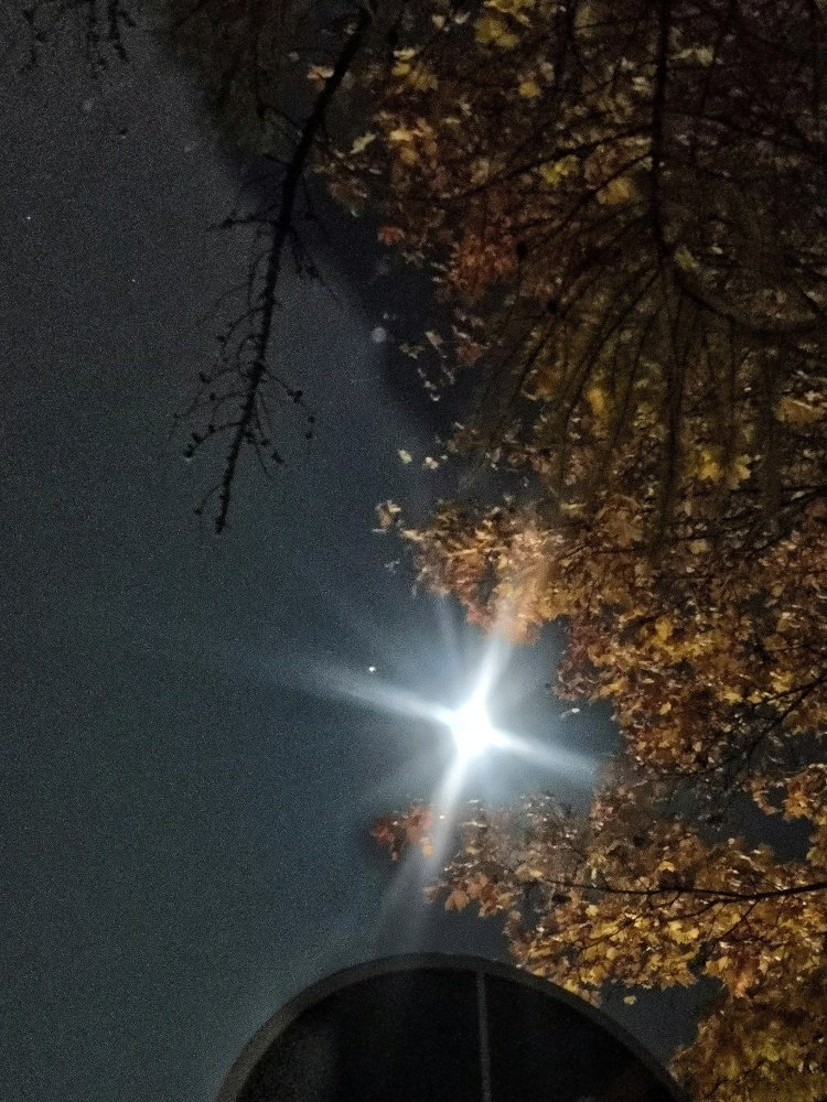 Фотография автора Dmitriy Sotnikov