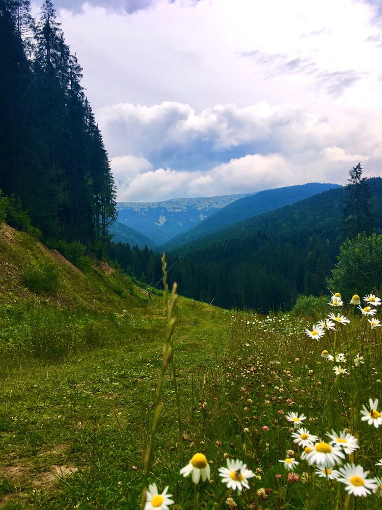 Photograph by Anna Krasova