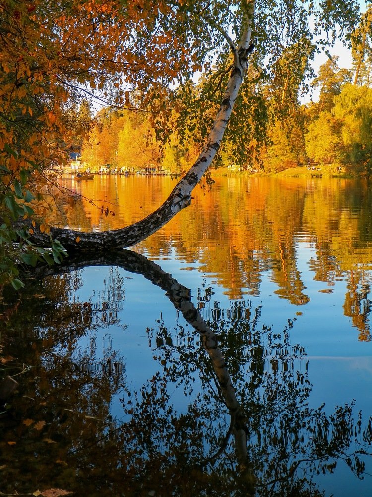 Фотография автора Виталия Латаш