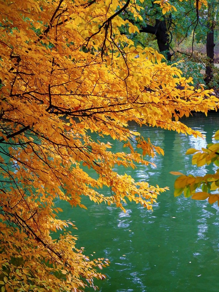 Фотография автора Виталия Латаш