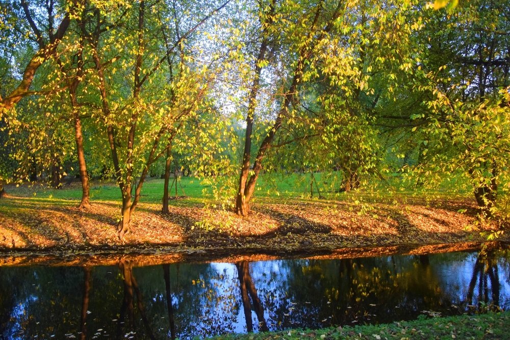 Фотография автора Альбина Хвастунова