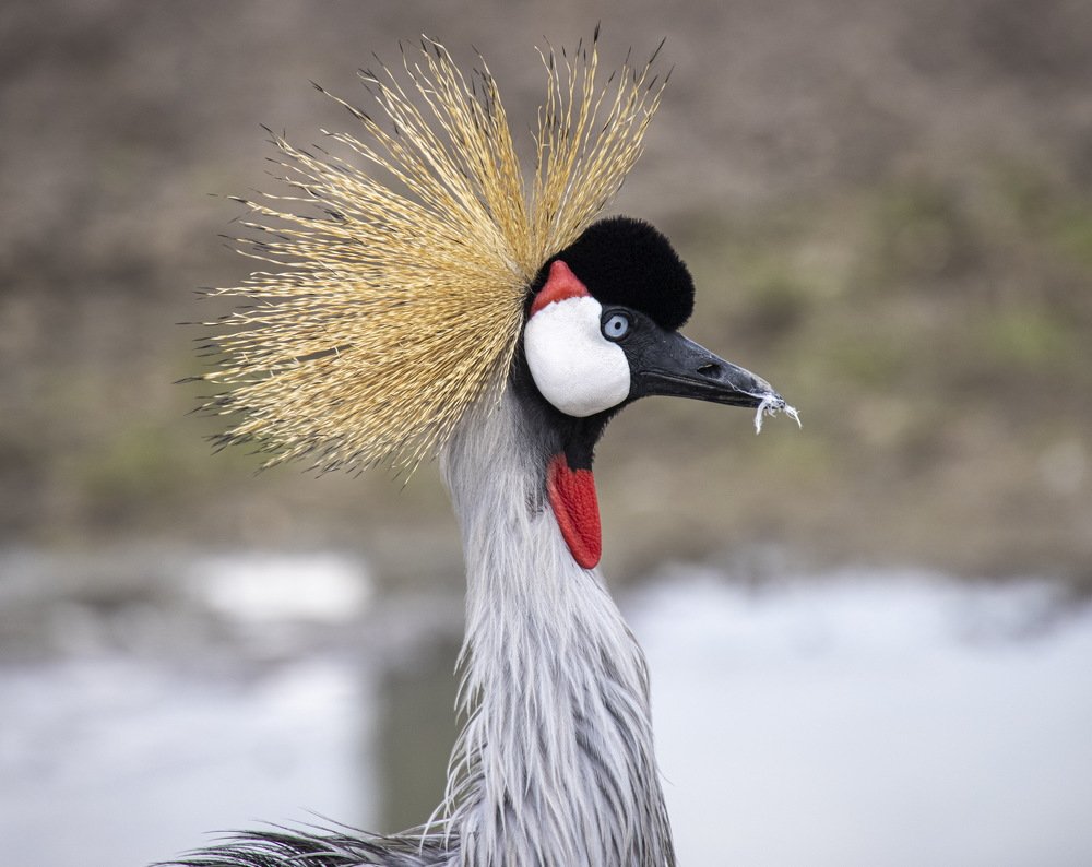 Photograph by Dem Kerrigan