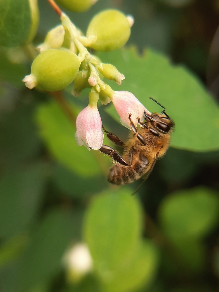 Photograph by Юлия Серазетдинова