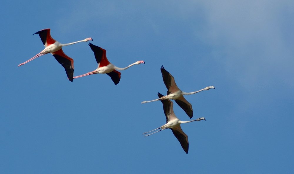 Photograph by Bhavana Sivayokan