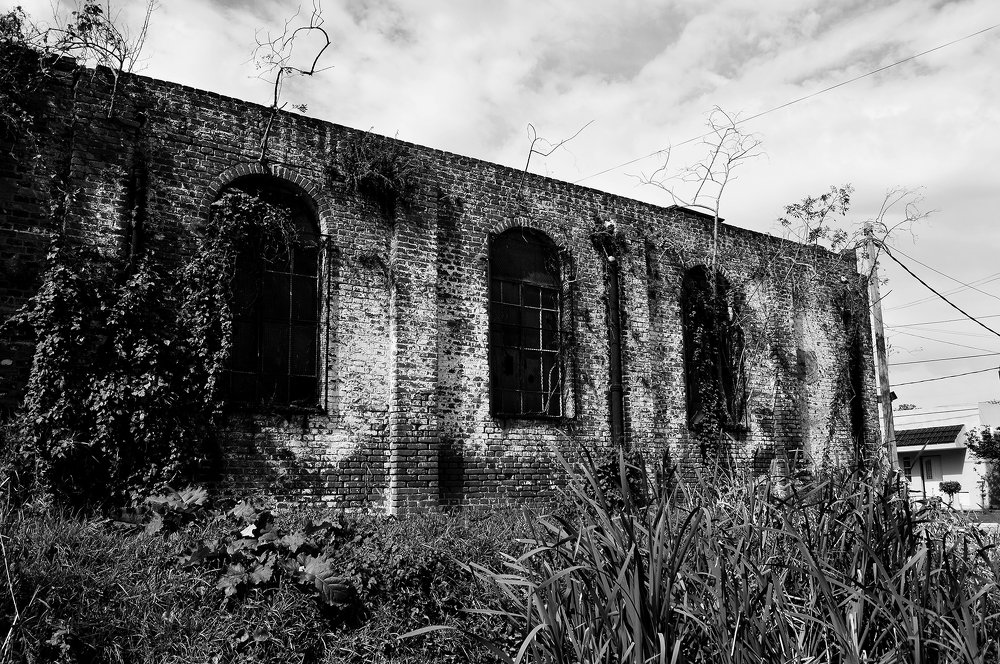 Photograph by Nancy Herculano