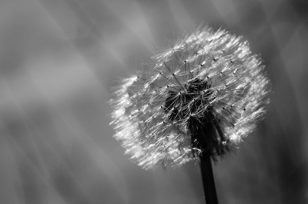 Somos infancias en pausa...