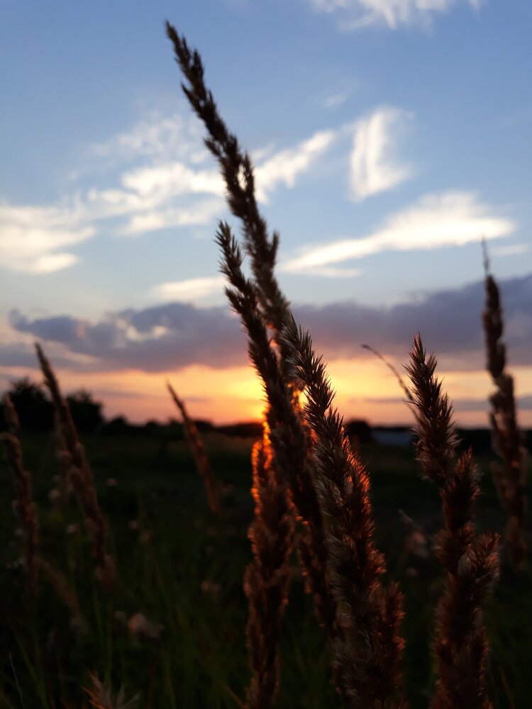 Photograph by Наталія Ященко